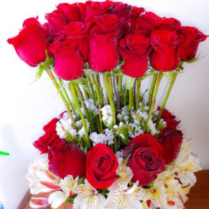 Caja de Rosas Rojas y Astromelias (A-50)