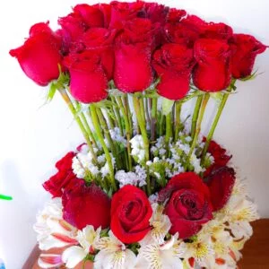 Caja de Rosas Rojas y Astromelias (A-50)