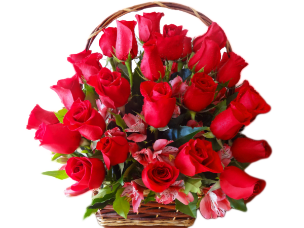 Canasta de Rosas y Astromelias Rosadas  >(C-40)